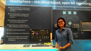 Kesempatan Berbisnis dan Bekerja Melimpah Ruah