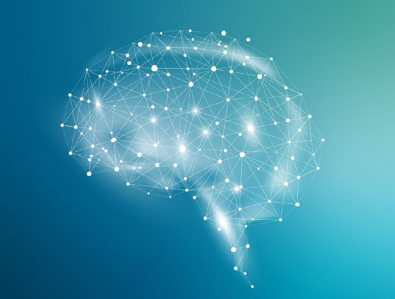Peranan Cognitive